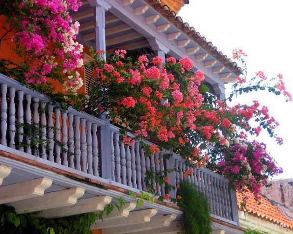 Цветы в оформление выступающего балкона