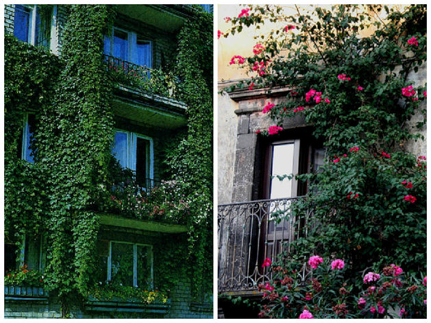 Озеленение фасада и балконов жилого дома