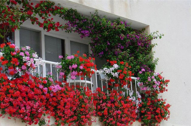 Разноцветные цветы в оформлении балкона