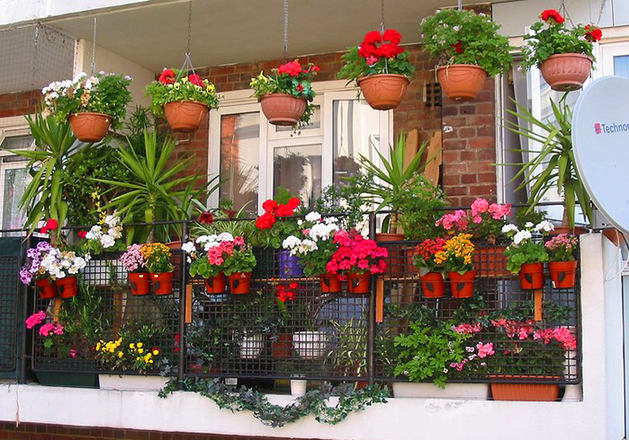 Горшки с цветами на балконе