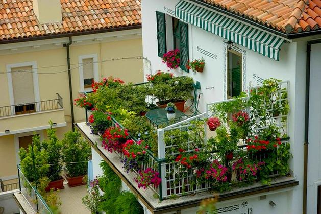 Различное применения растений в оформлении балкона