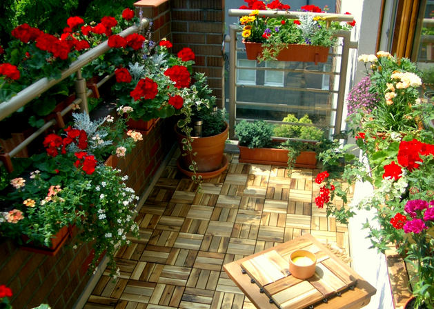 Различные цветочные растения в украшении балкона
