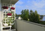 Подвесные сады в городской квартире