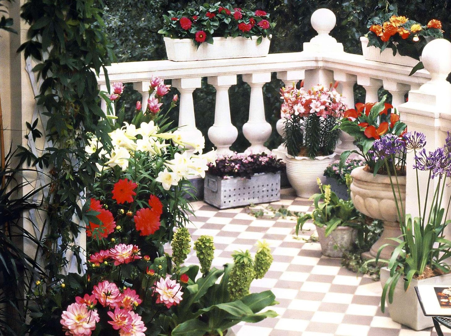 Топ растений и цветов для балкона и лоджии
