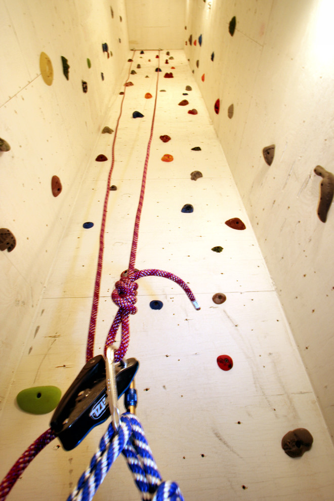 climbing wall in the interior 12