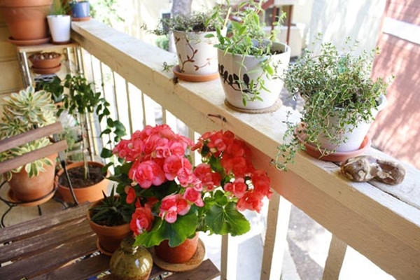 Цветы на маленьком балконе