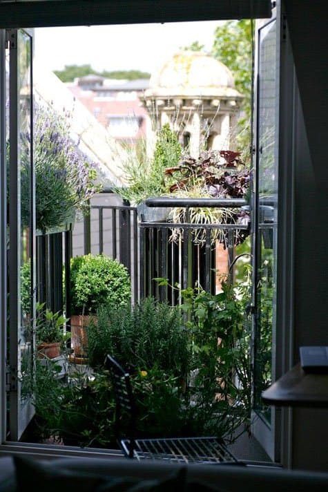 Декор маленького балкона: ботанический уголок 
