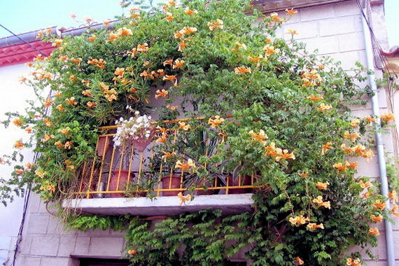 Оригинальный дизайн балкона, украшенный цвета