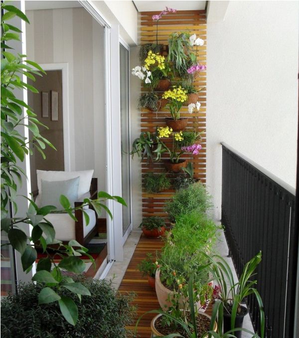 Дизайн балконов: растения