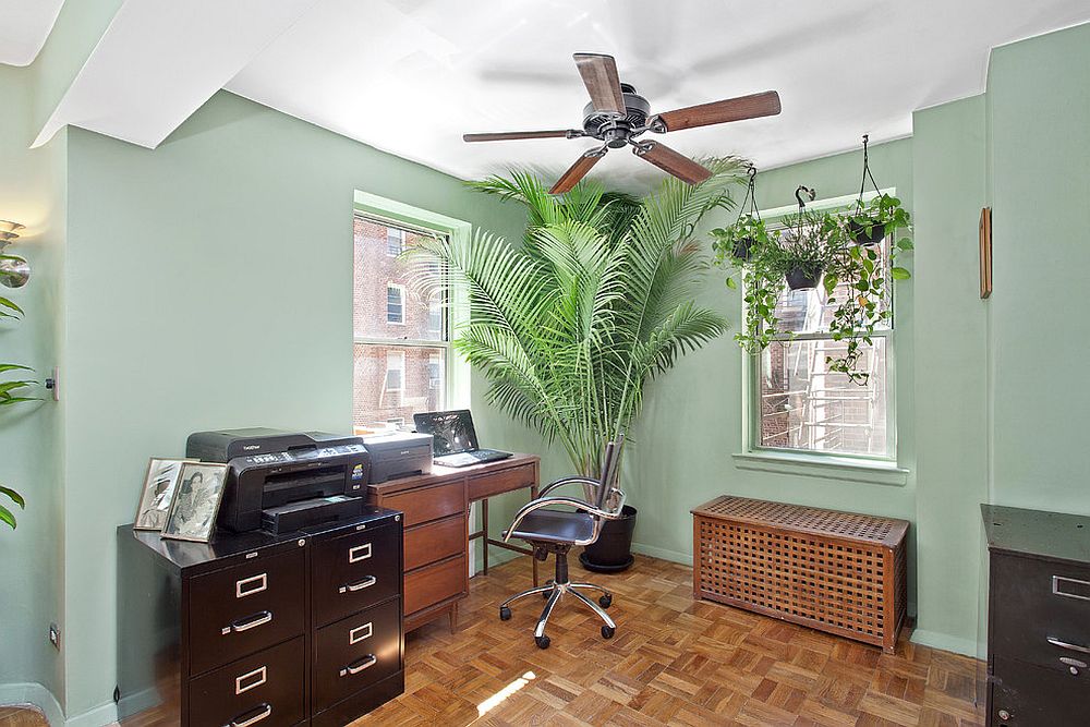 Тропическое растение добавляет экзотики домашнему мини-офису