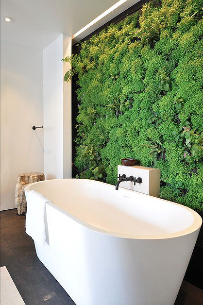 Стена с растениями в ванной