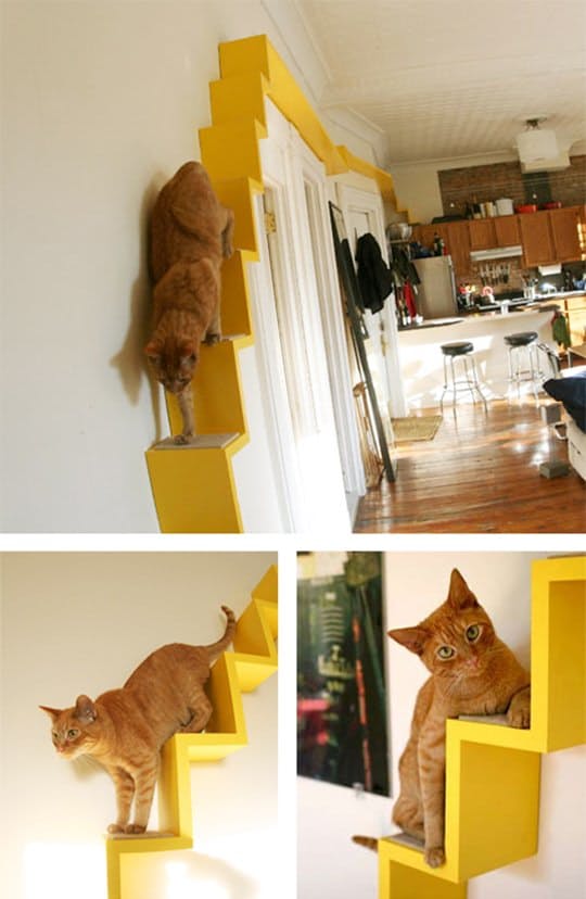 Мебель для кошек: потрясающая лестница
