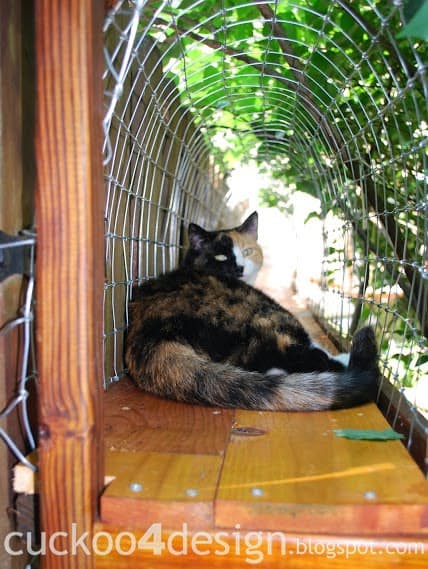 Мебель для кошек: для отдыха на свежем воздухе