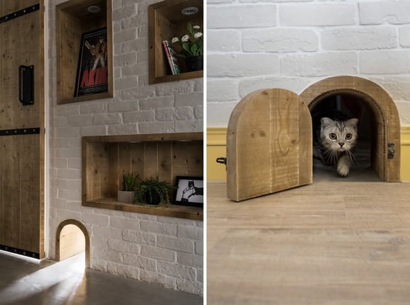 Мебель для кошек: для частного домика
