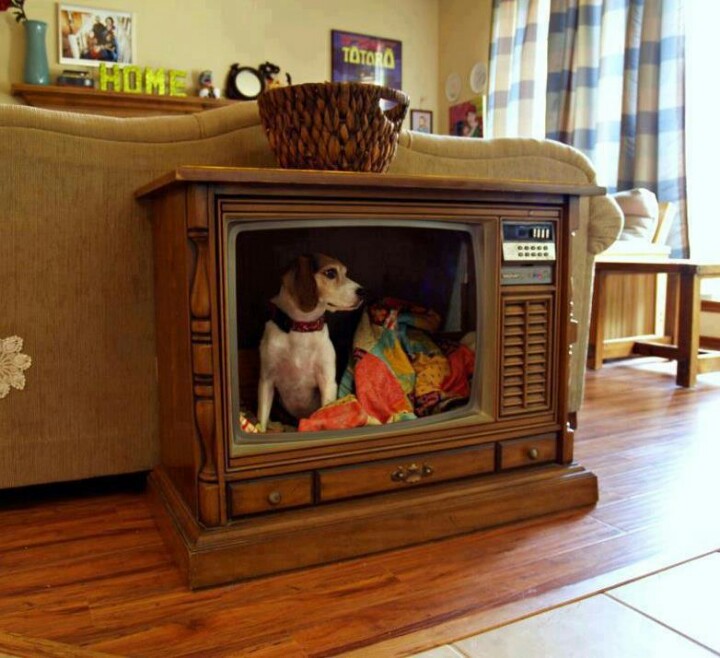Мебель для бигля в интерьере гостиной в виде ретро-телевизора