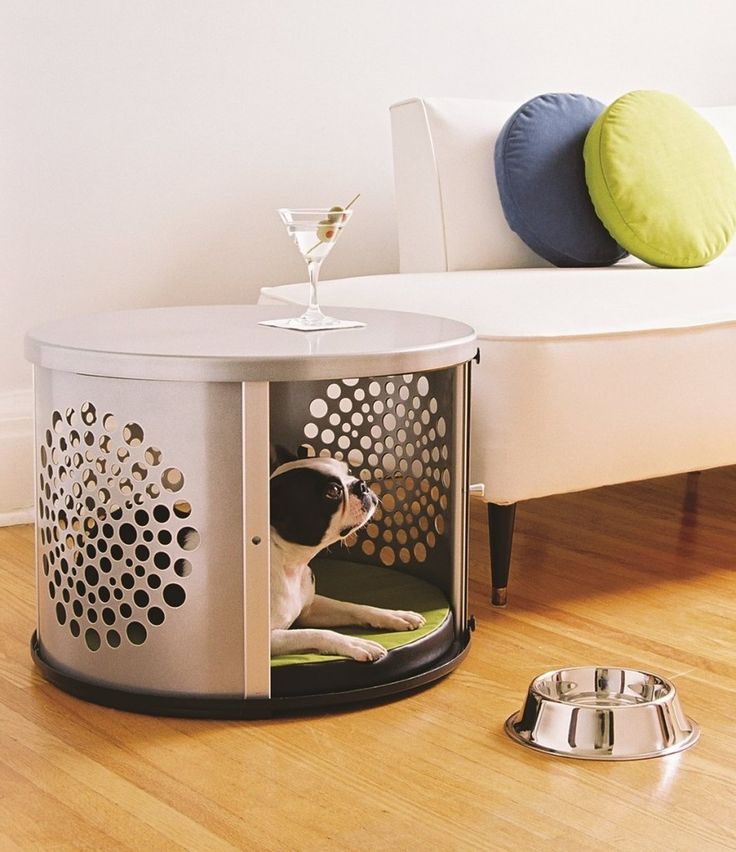 Мебель для небольшой собаки в интерьере гостиной в виде дизайнерского журнального стола