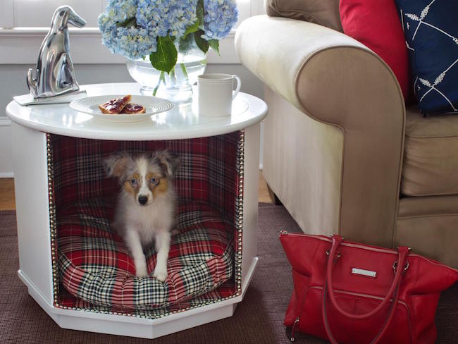 Мебель для небольшой собаки в интерьере гостиной в виде белого глянцевого журнального стола