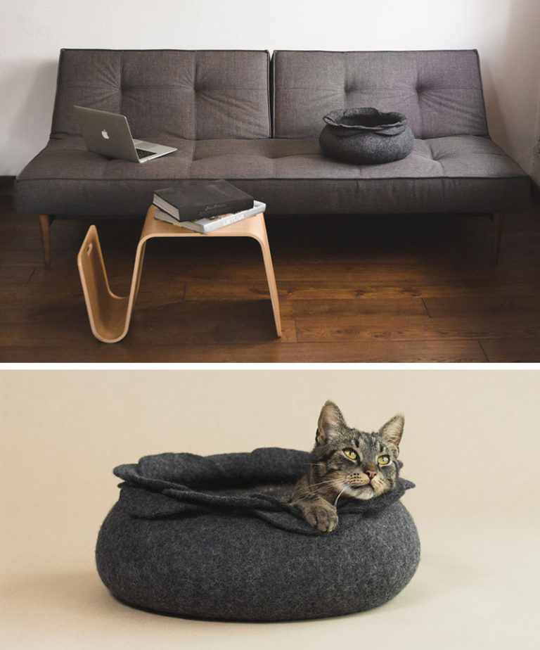 Спальное место для кота: лежак на диване 
