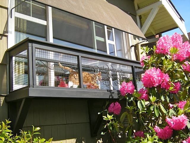 Вольер для кошки на балконе